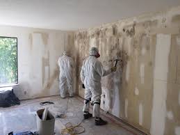  Questa, NM Mold Inspection Pros